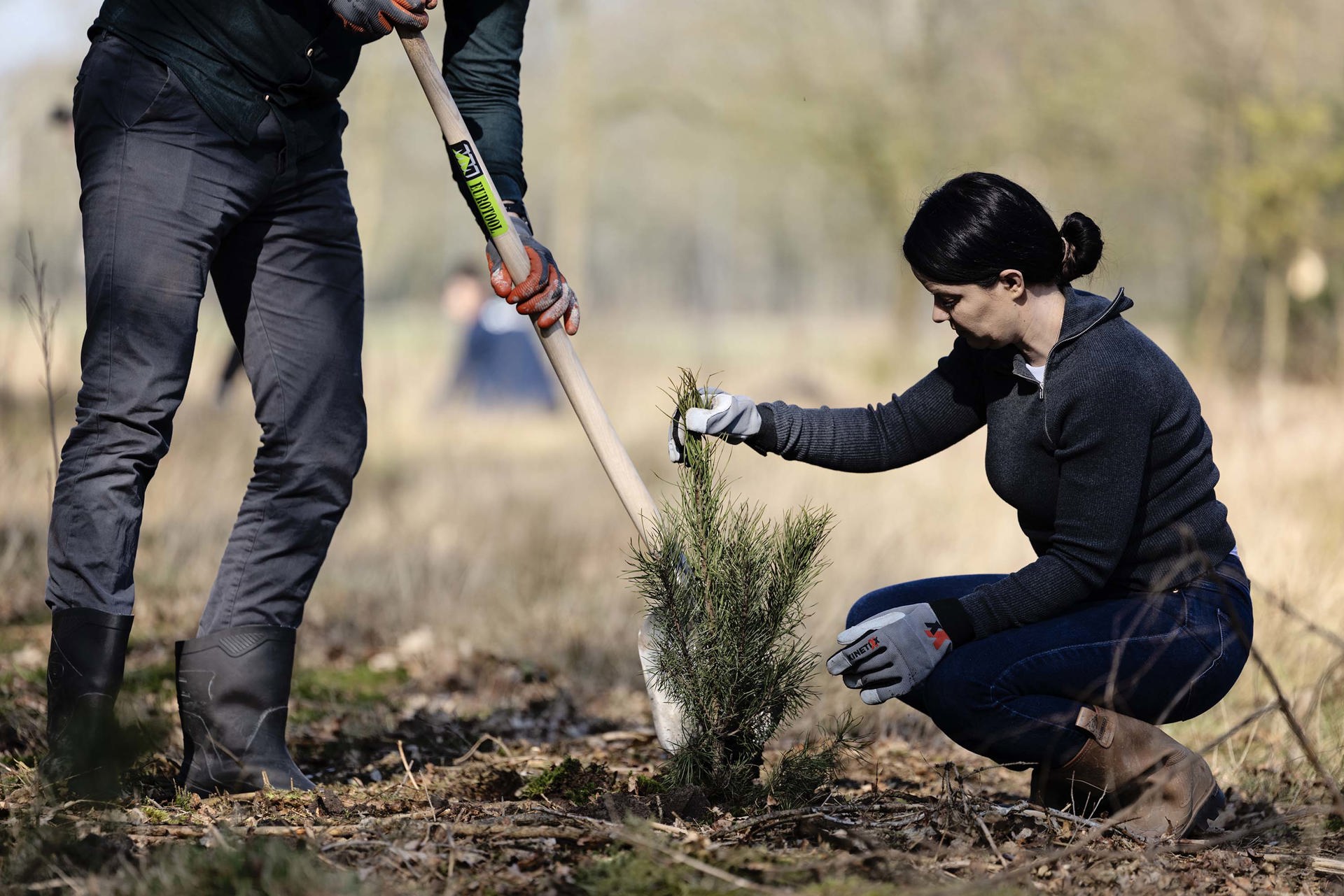 Trees For All Boomplantdag (6395) Trees For All Boomplantdag (6395)