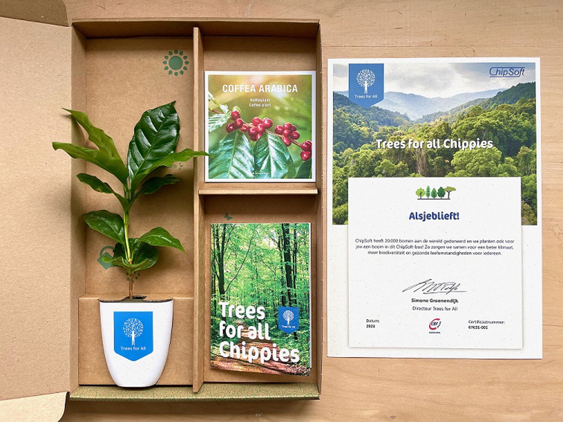 TreesforAll-ChipSoft-met-certificaat-verkleind.jpeg TreesforAll-ChipSoft-met-certificaat-verkleind.jpeg